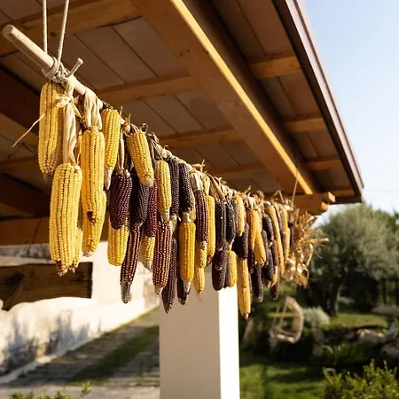 Bed and breakfast Al Chiaro Di Luna 2*